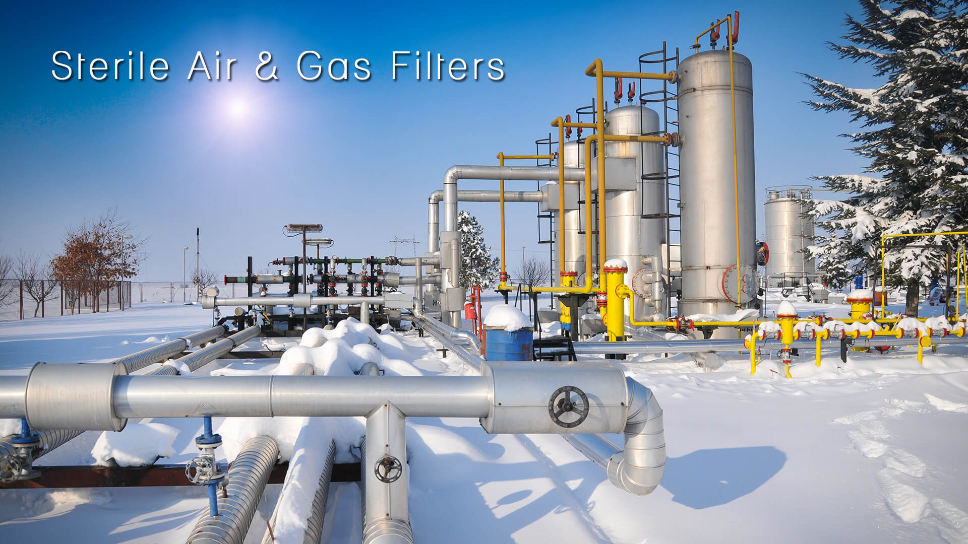 STERILE AIR AND GAS FILTERS